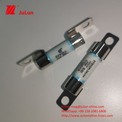 10.3*65.5mm Keramik EV Fuse 20A Pengisi Baterai Otomotif Untuk DC Fast Fuse