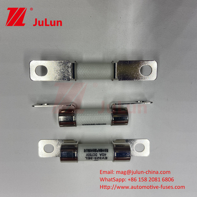 Perlindungan EV Kendaraan Listrik Fuse Power Conversion 15A 30A 25A 750VDC 10x38 EV FUSE