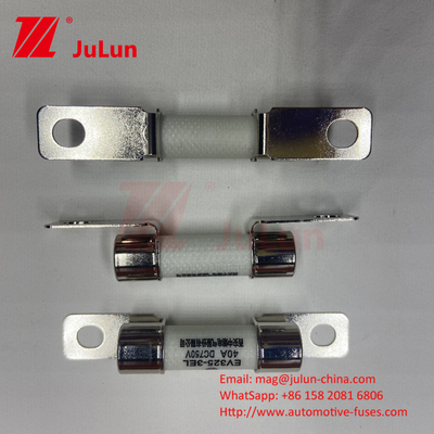 DC750V 10A-100A Fuse EV Boxed Untuk Sistem Traksi Kendaraan Listrik penyimpanan energi 25A 30A 50A Fuse EV