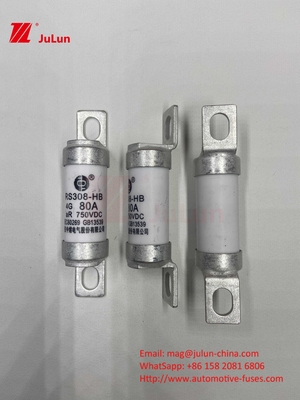 Fuse Keramik Otomotif 750VDC RS308 HB 4G Suhu Tinggi 10A 20A 25A 30A 40A 50A 63A 80A 100A Fuse 750VDC