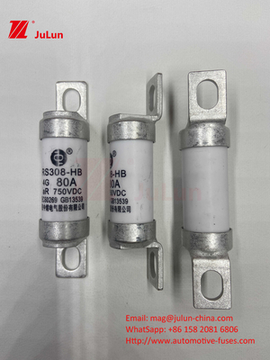 Fuse Kendaraan Listrik EV Untuk DC750V Fuse DC750V 10A 15A 20A 25A 30A Untuk Aplikasi Mobil RS308