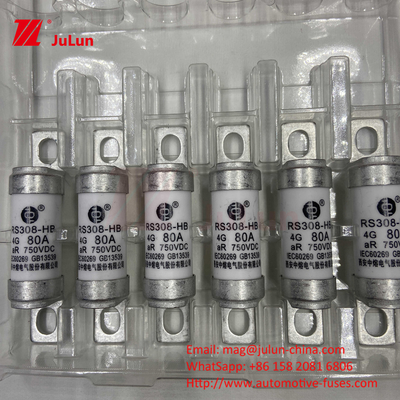 Fuse Kendaraan Listrik EV Untuk DC750V Fuse DC750V 10A 15A 20A 25A 30A Untuk Aplikasi Mobil RS308