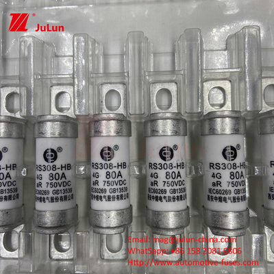 EV Fuse 100A Fitur Konstruksi yang diborgol Secara khusus 750VDC 10A 25A 50A 63A