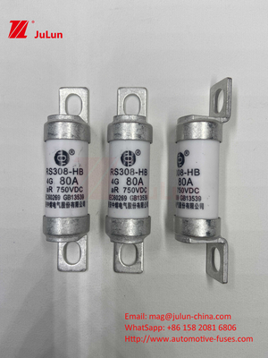 EV Fuse 100A Fitur Konstruksi yang diborgol Secara khusus 750VDC 10A 25A 50A 63A