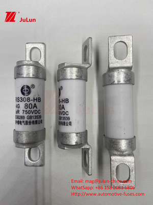 EV Fuse 100A Fitur Konstruksi yang diborgol Secara khusus 750VDC 10A 25A 50A 63A