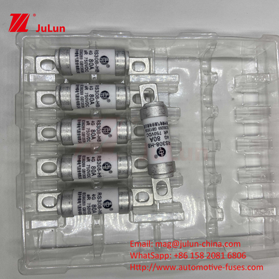 Fuse Kendaraan Listrik RS308 DC750V 10A 15A 20A Dengan Tahan Getaran yang Luar Biasa 63A