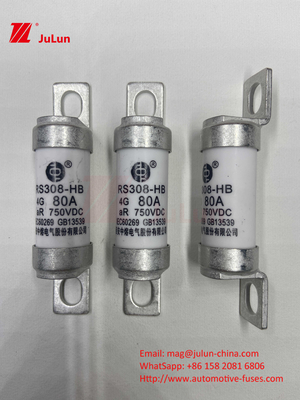 Fuse Kendaraan Listrik RS308 DC750V 10A 15A 20A Dengan Tahan Getaran yang Luar Biasa 63A