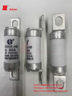 Fuse Kendaraan Listrik RS308 DC750V 10A 15A 20A Dengan Tahan Getaran yang Luar Biasa 63A