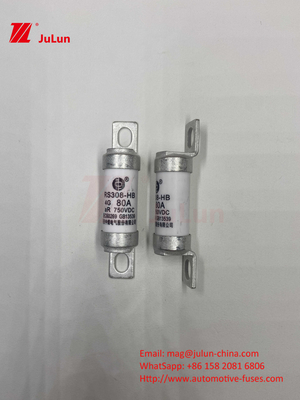 EV RS308 Fuse Mechanical Shock 25A 30A 40A 50A Keramik Tembaga Rated Voltage DC750V Home Ev Charger Untuk Mobil Listrik