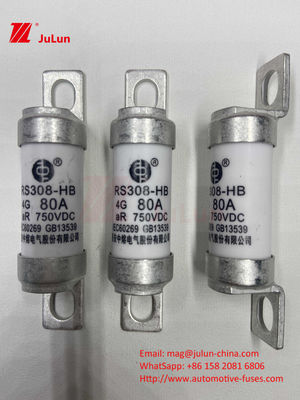 EV RS308 Fuse Mechanical Shock 25A 30A 40A 50A Keramik Tembaga Rated Voltage DC750V Home Ev Charger Untuk Mobil Listrik