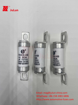 Fuse EV M6 Dengan Pengisi Daya EV Keramik Bolted 750VDC Fuse Beban Kimia Dan Suhu Tinggi 40A 50A RS308
