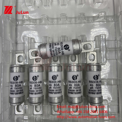Fuse EV M6 Dengan Pengisi Daya EV Keramik Bolted 750VDC Fuse Beban Kimia Dan Suhu Tinggi 40A 50A RS308