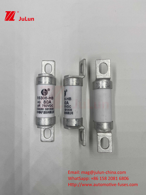 Fuse Kendaraan Listrik Untuk Sistem Traksi Energi Penyimpanan Dan Olted 750VDC 25A 30A 40A 50A Untuk RS308 HB EV