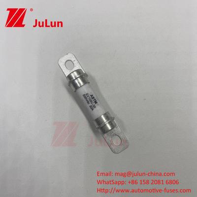 50A 30A 500DV Capacity DC Breaking Capability Fuse 5A Truck EV Fuse