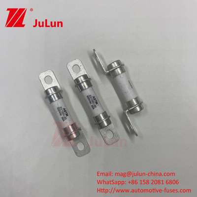 50A 30A 500DV Capacity DC Breaking Capability Fuse 5A Truck EV Fuse