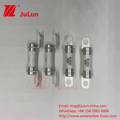 50A 30A 500DV Capacity DC Breaking Capability Fuse 5A Truck EV Fuse