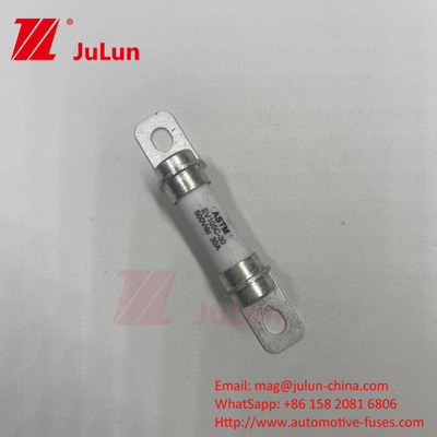 5A 10A 30A 50A 30A 500DV Kendaraan listrik murni Sistem kekuatan Kendaraan hibrida Fuse