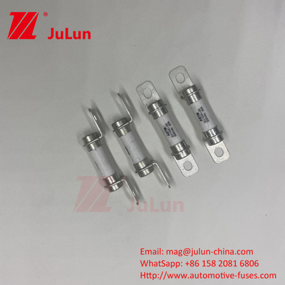 5A 10A 30A 50A 30A 500DV Kendaraan listrik murni Sistem kekuatan Kendaraan hibrida Fuse