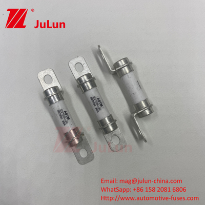 5A 10A 30A 50A 30A 500DV Kendaraan listrik murni Sistem kekuatan Kendaraan hibrida Fuse