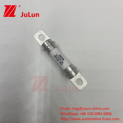 50A 40A 30A Fuse Kendaraan Listrik Murni Sistem Konversi Daya Kendaraan Listrik Dengan M6 Bolted