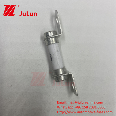 Fuse Kendaraan Listrik 500VDC Bolt M6 Bolt 50A Fuse Berkapasitas Pemutus DC yang sangat baik