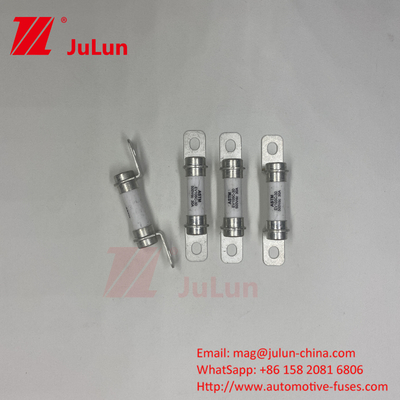 Fuse Kendaraan Listrik 500VDC Bolt M6 Bolt 50A Fuse Berkapasitas Pemutus DC yang sangat baik