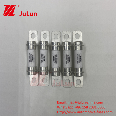 30A Kendaraan hibrida 500VDC Fuse Bolt M6 DC Perangkat dan Peralatan Otomotif Pendek dan Backu