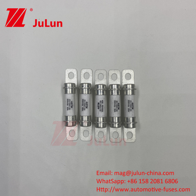 Fuse EV Standar UL248-10A 20A 50A 40A Fuse Energy Storage System 500VDC High Break