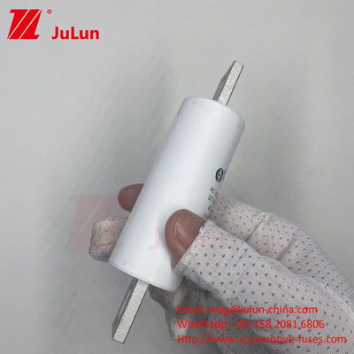 RS309-MM-EV250A 100KA Tegangan Menengah Kendaraan Listrik Pengisian Cepat / Ev Dc Fast Charger