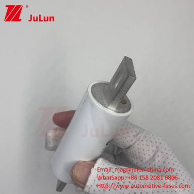 RS309-MM-EV500A1000VDC 50KA 1000VAC 100KA Perlindungan Sekrup Sekrup Sekrup