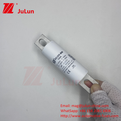 RS309-MM-EV500A1000VDC 50KA 1000VAC 100KA Perlindungan Sekrup Sekrup Sekrup