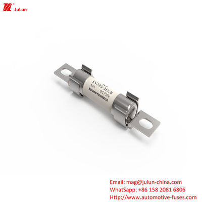 Bolt Screw Silver Coated Fuse Tegangan Nominal DC750V 40A Karakteristik Fusi Menengah