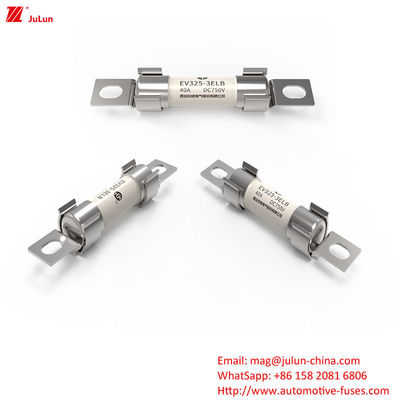 Sinofuse Automotive Fuse Untuk Kendaraan Jalan Dan Mobil Listrik DC750V 20KA
