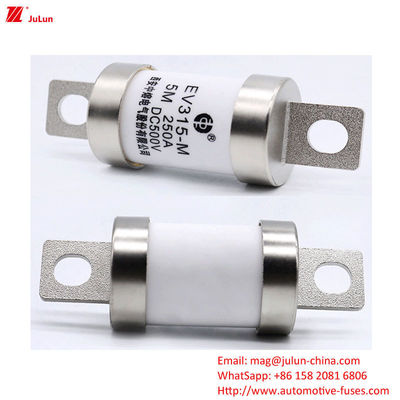 Fuse EV Otomotif Untuk Adaptor Pengisi Daya Kendaraan Listrik 100-400A DC500V
