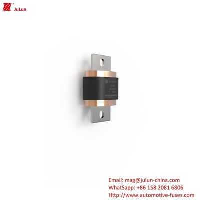 Fuse EV Fuse kendaraan listrik 500A-1000A DC500V