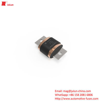 Fuse EV Untuk Kendaraan Jalan - EV8-MKM DC500V 500A-1000A