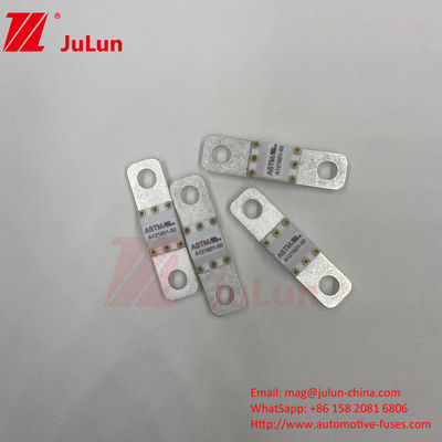 A121601-50A ASTM 125VDC Kendaraan Listrik Perlindungan Terminal Tipe Sekring