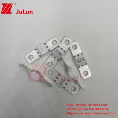 ASTM 300A 125VDC Bolt Screw Fuse A121601 Untuk Perlindungan Kendaraan Listrik