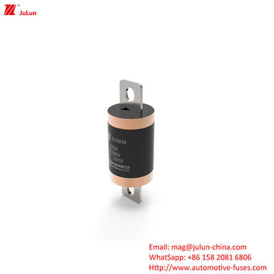 Bolt Screw Electric Vehicle Fast Charging 10KA 20KA Medium Fusing Rated 500VDC New Energy Vehicle Fuse