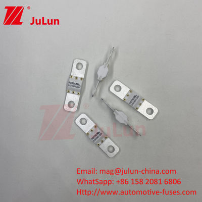 ASTM 100A Ev Charger Adapter Fuse Kompatibel Ccs Ev ChargerBolt Sekrup 125VDC 10KA 20KA