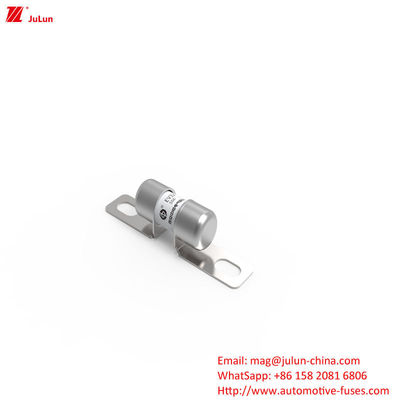 Fuse Kendaraan Listrik Sekrup Bolt Jenis 10KA Fuse Otomotif