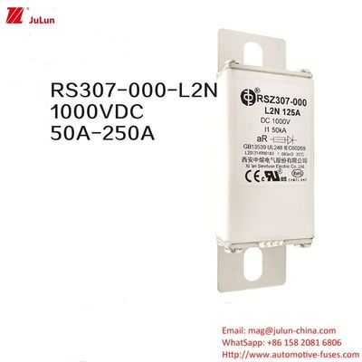 100A Bolt On Ev Dc Fast Charger / Kendaraan Listrik Fast Charging RSZ307-000-L2N Fuse