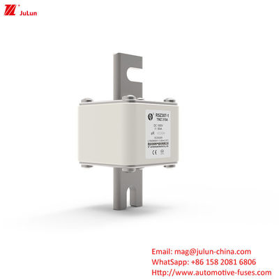 315A DC250V Portable EV Charger Fuse Solusi Utama Untuk Pemilik EV