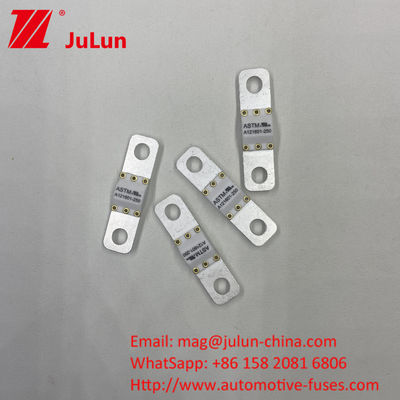 125 VDC Mobil Baterai Pengisi Daya Sekring A121601-300A Baterai Energi Storage Sepeda motor