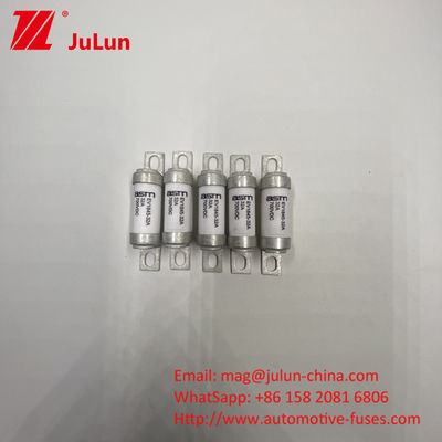 ASTM EV1845 40A Medium Bolt Fuse Electric Vehicle Charger dengan M8 Screw Mount