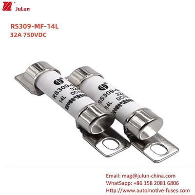 RS309 750VDC 32A 40A arus Pengisi baterai otomotif dengan dan Energi Fuse Kendaraan Listrik 750VDC Jenis terminal