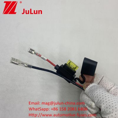15A Fuse Holder Wire Harness dengan Automotive Electric Vehicle Wire Harness EV Wiring Assembly dengan Perlindungan Fuse