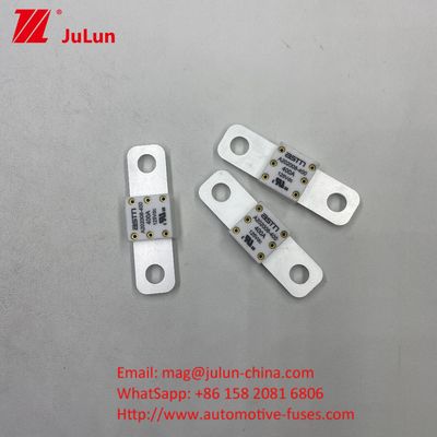 100 A 125V DC Fuse Baterai Mobil Memberikan Perlindungan yang Dapat Diandalkan Dan Efisien