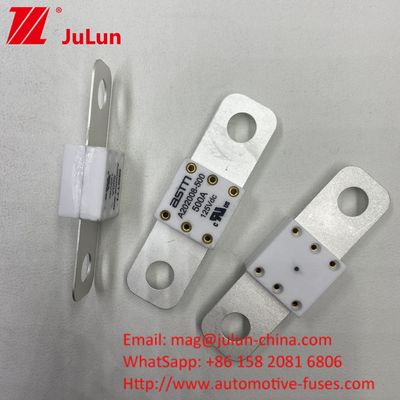 Profesional A202008 300A 125VDC Baterai Baterai Otomotif Baterai Baterai Fuse 100A 150A 200A 250A 300A 350A 400A 500A 20KA Kapasitas Pemutus