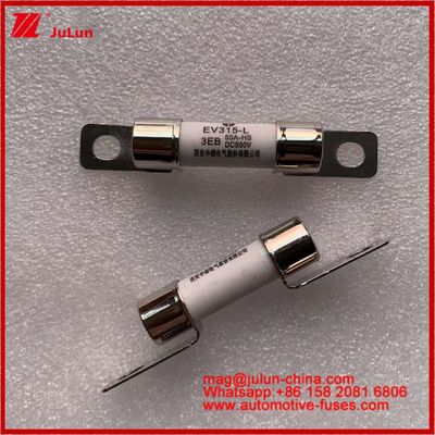 EV315-L 3EB 50A HS 10*38mm Truk Berat Listrik Lampu Bolt Instalasi 500VDC Tubular Fuse Dengan JASO D622 Kesesuaian